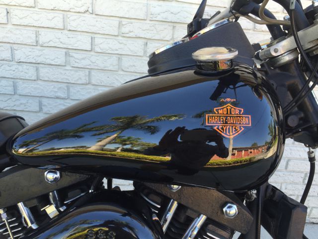 Harley Davidson Sturgis 3